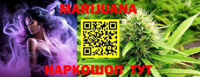 гидра Будённовск