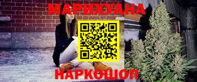 гидра Будённовск