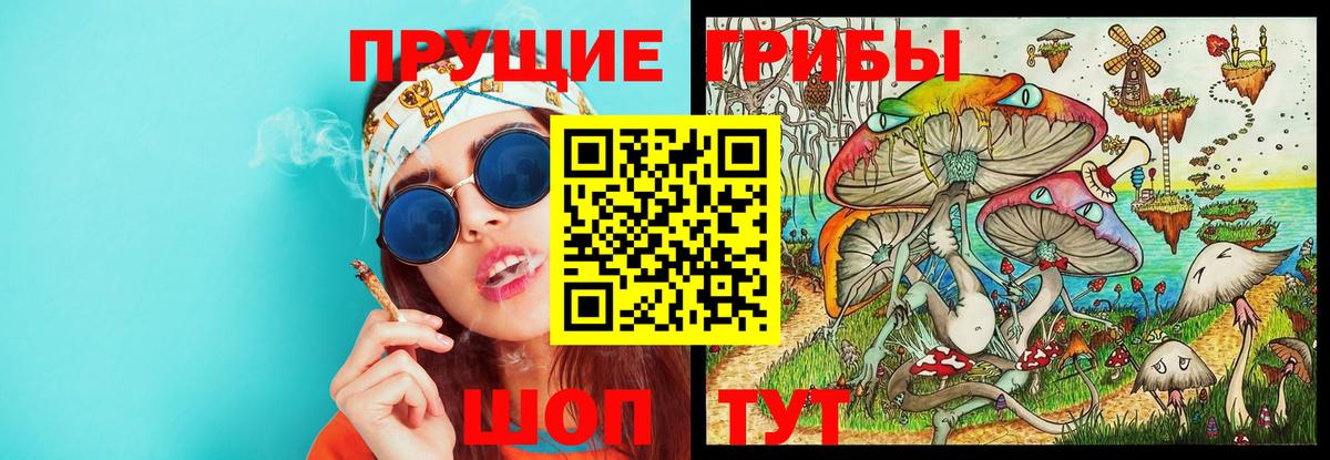 Галлюциногенные грибы Cubensis Пыть-Ях