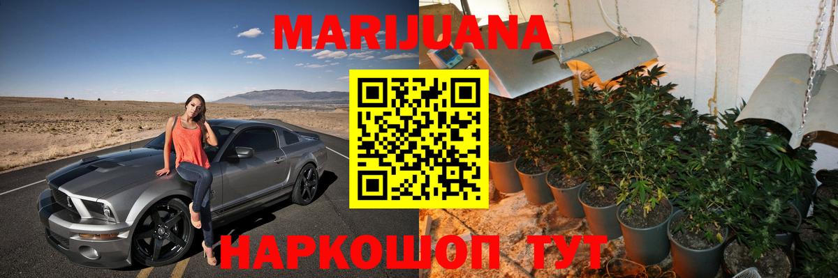 Бошки Шишки планчик  Конопля конопля  Вход с VPN  Пыть-Ях  Бошки Шишки ГИДРОПОН  Конопля Bruce Banner 